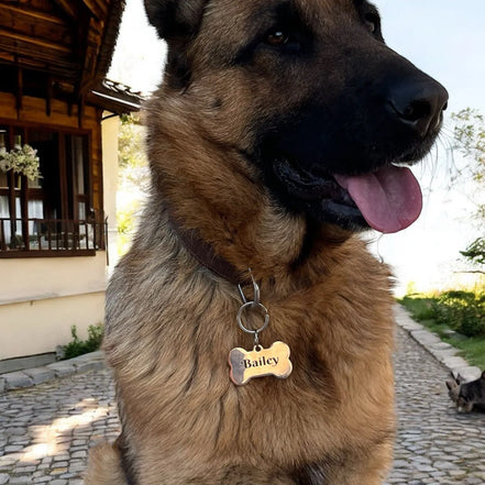 Hondenpenning rose gold 5x3 cm met naam roestvrijstaal
